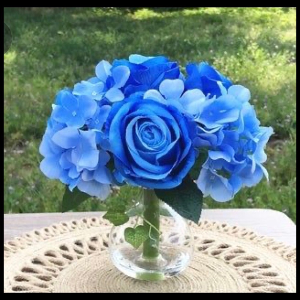 Meet your Posher, Leticia